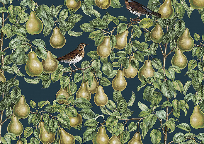 Pears, Silent Night - Twist&Fit Roman Blind - Image 7